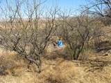 16771 Arivaca Road - Photo 6