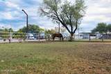 9525 Graf Lane - Photo 24