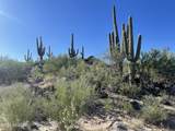 1364 Tortolita Mountain Circle - Photo 1