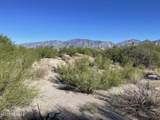 1364 Tortolita Mountain Circle - Photo 5