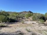 1364 Tortolita Mountain Circle - Photo 7