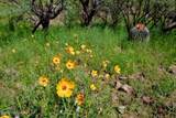 TBD Muledeer Drive - Photo 26