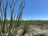+/- 4acres Colossal Cave Road - Photo 16