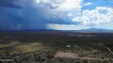+/- 4acres Colossal Cave Road - Photo 5