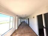 428 Via Encino - Photo 10