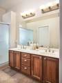 13578 Buckhorn Cholla Drive - Photo 16