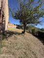 2320 N Calle Cananea Apt C - Photo 23