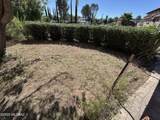 2320 N Calle Cananea Apt C - Photo 24