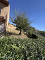 2320 N Calle Cananea Apt C - Photo 25