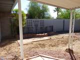 7659 Queen Palm Circle - Photo 18