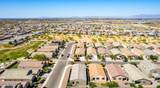 4269 Coneflower Lane - Photo 13