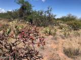 TBD Camino Loma Alta - Photo 13