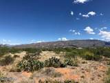 TBD Camino Loma Alta - Photo 16