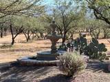 42 Calle Agua Tranquila Road - Photo 42