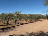 42 Calle Agua Tranquila Road - Photo 43