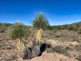 TBD Old Dusty Trail - Photo 3