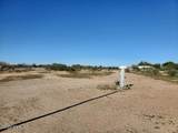 14555 Desert Owl Way - Photo 23