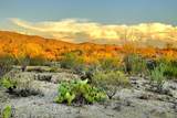 4075 Saguaro Monument Place - Photo 9