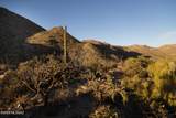 4365 Cush Canyon Loop - Photo 10