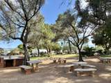 361 Paseo Pena - Photo 41