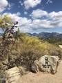 1194 Tortolita Mountain Circle - Photo 5