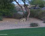 61217 Arbor Basin Road - Photo 39