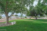 248 Paseo Aguila - Photo 24