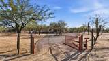 12625 Cactus Ridge Drive - Photo 33