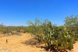 7777 Los Reales Road - Photo 17