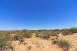 7777 Los Reales Road - Photo 20