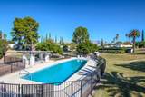703 Las Lomitas Road - Photo 32