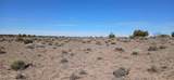 16 Acres Blackfoot Trail - Photo 8