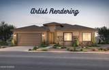 8233 Sonoran Oak Drive - Photo 3
