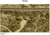 12123 Creosote Valley Road - Photo 45