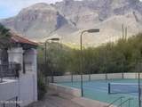 6451 Tierra De Las Catalinas - Photo 15