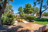 361 Paseo Pena - Photo 34