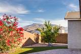 10233 Encinas Trail - Photo 30