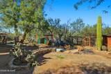2848 Desert Rose Drive - Photo 9