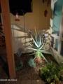 6255 Camino Pimeria Alta - Photo 38