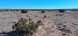 38 Acres 24 County Rd N6578 - Photo 18