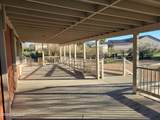 11982 Desert Wren Drive - Photo 4