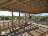 11982 Desert Wren Drive - Photo 6