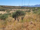 365 Camino Armadillo - Photo 2