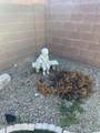 4927 Louis River Way - Photo 42