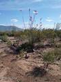 3644 Vista Del Viejo - Photo 49