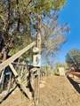 28840 Arivaca Place - Photo 8