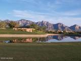 14582 Alamo Canyon Drive - Photo 39