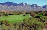 14582 Alamo Canyon Drive - Photo 40
