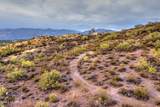 11319 Calle Catalina - Photo 18