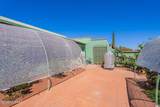 625 Camino Corto - Photo 11
